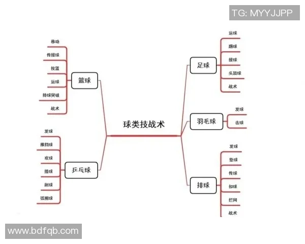 广州排球队反击战术解析与实战应用的深度分析 广州排球队反击战术解析与实战应用的深度分析