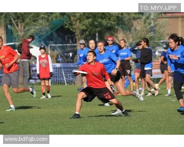 深圳飞盘队节奏之争引发热议球迷与专家各执己见