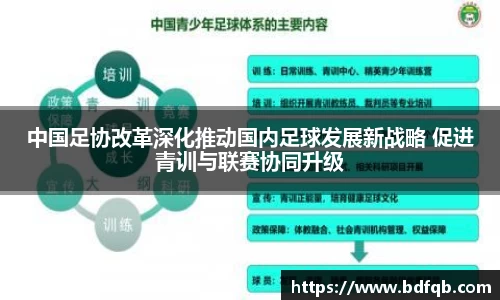 熊猫体育平台