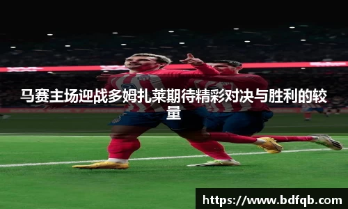 智博19有限公司